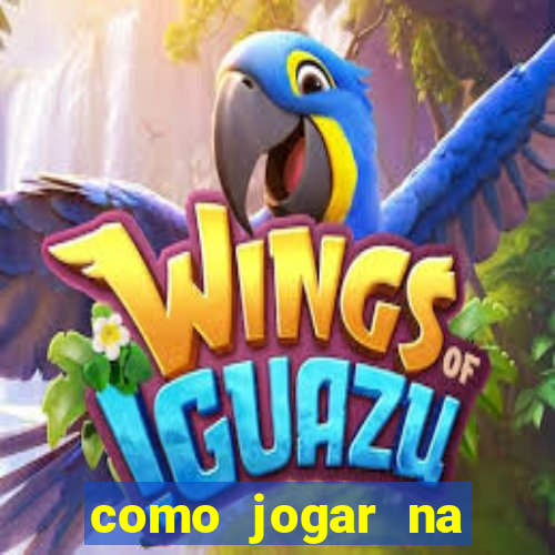 como jogar na seninha online